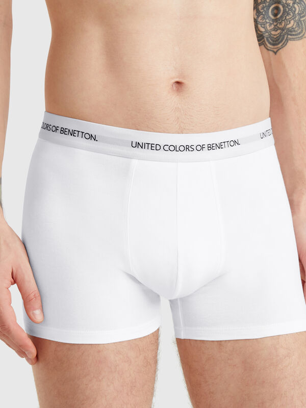 Bóxer de algodón elástico Hombre